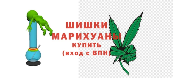 ECSTASY Магас