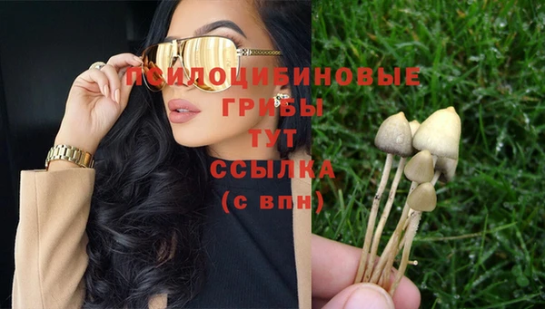спайс Нязепетровск
