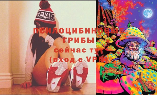 ECSTASY Магас