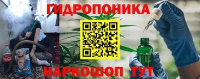 ПСИЛОЦИБИНОВЫЕ ГРИБЫ Гай