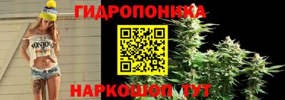 ГАЛЛЮЦИНОГЕННЫЕ ГРИБЫ Аргун