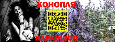 a pvp Гагарин