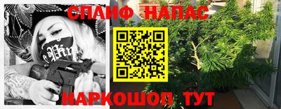 мдма Гатчина