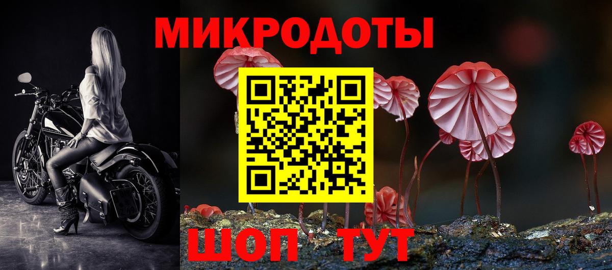 Галлюциногенные грибы Cubensis Симферополь