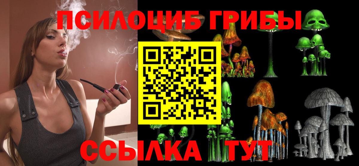Галлюциногенные грибы Psilocybine cubensis Симферополь