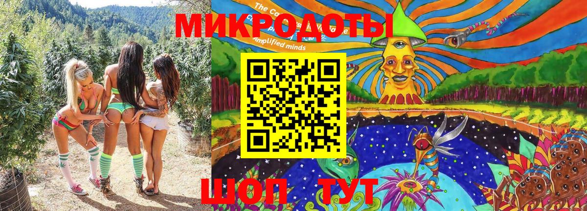 Псилоцибиновые грибы прущие грибы  Симферополь  Галлюциногенные грибы GOLDEN TEACHER 